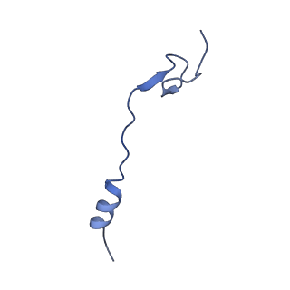 10654_6xyw_AB_v1-2
Structure of the plant mitochondrial ribosome