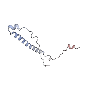 10654_6xyw_AF_v1-2
Structure of the plant mitochondrial ribosome
