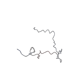 10654_6xyw_AG_v1-2
Structure of the plant mitochondrial ribosome