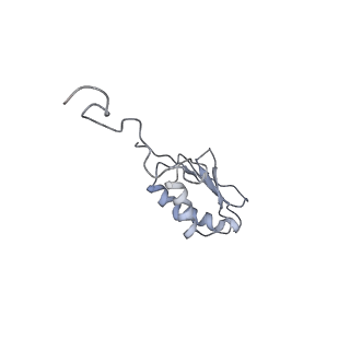 10654_6xyw_AH_v1-2
Structure of the plant mitochondrial ribosome