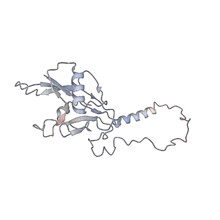 10654_6xyw_AI_v1-2
Structure of the plant mitochondrial ribosome