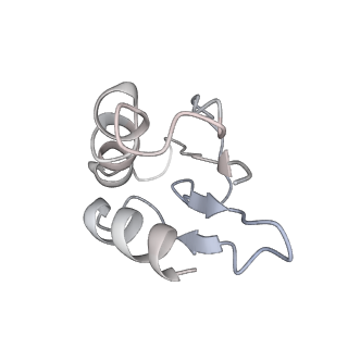10654_6xyw_AJ_v1-2
Structure of the plant mitochondrial ribosome