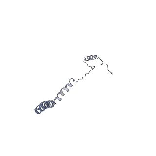 10654_6xyw_AK_v1-2
Structure of the plant mitochondrial ribosome