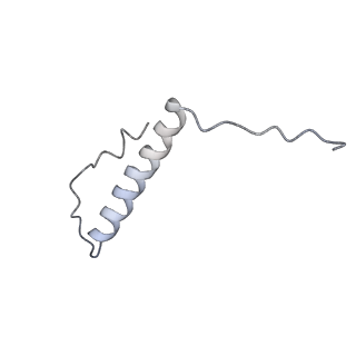 10654_6xyw_AL_v1-2
Structure of the plant mitochondrial ribosome