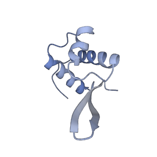 10654_6xyw_AM_v1-2
Structure of the plant mitochondrial ribosome
