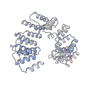 10654_6xyw_AO_v1-2
Structure of the plant mitochondrial ribosome