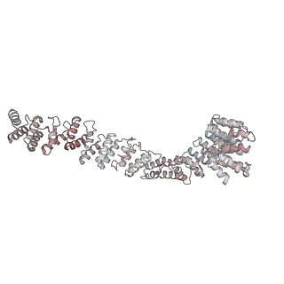 10654_6xyw_AP_v1-2
Structure of the plant mitochondrial ribosome