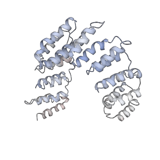 10654_6xyw_AQ_v1-2
Structure of the plant mitochondrial ribosome