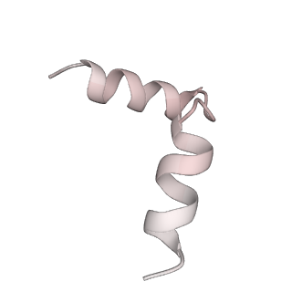 10654_6xyw_AR_v1-2
Structure of the plant mitochondrial ribosome