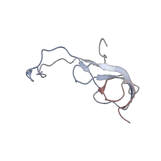 10654_6xyw_Aa_v1-2
Structure of the plant mitochondrial ribosome