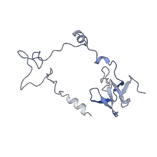 10654_6xyw_Ab_v1-2
Structure of the plant mitochondrial ribosome