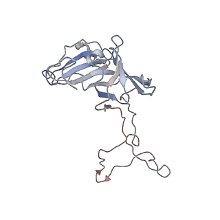 10654_6xyw_Ac_v1-2
Structure of the plant mitochondrial ribosome