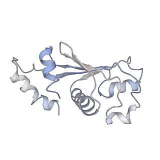 10654_6xyw_Ae_v1-2
Structure of the plant mitochondrial ribosome
