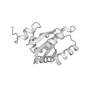 10654_6xyw_Ah_v1-2
Structure of the plant mitochondrial ribosome