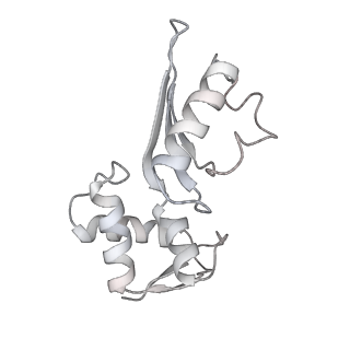 10654_6xyw_Ai_v1-2
Structure of the plant mitochondrial ribosome