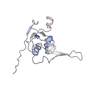 10654_6xyw_Aj_v1-2
Structure of the plant mitochondrial ribosome