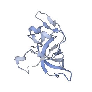 10654_6xyw_Ak_v1-2
Structure of the plant mitochondrial ribosome