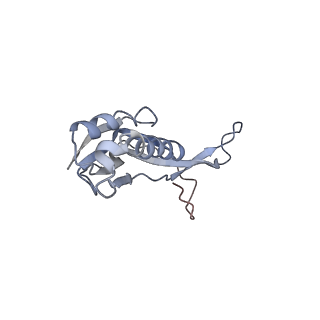 10654_6xyw_Am_v1-2
Structure of the plant mitochondrial ribosome