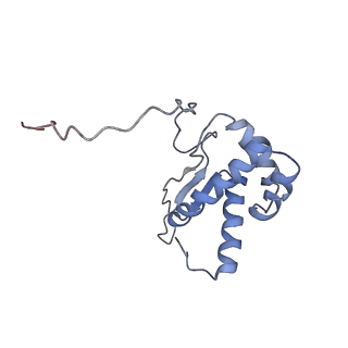 10654_6xyw_An_v1-2
Structure of the plant mitochondrial ribosome