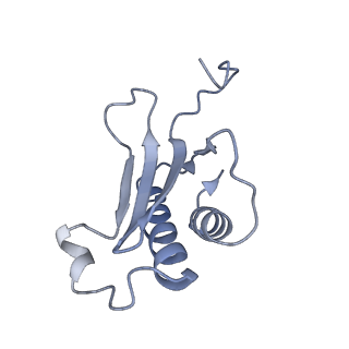 10654_6xyw_Ao_v1-2
Structure of the plant mitochondrial ribosome