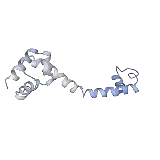10654_6xyw_Aq_v1-2
Structure of the plant mitochondrial ribosome