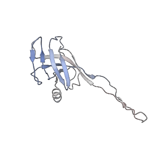 10654_6xyw_Ar_v1-2
Structure of the plant mitochondrial ribosome