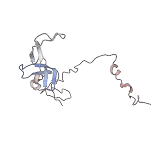 10654_6xyw_Au_v1-2
Structure of the plant mitochondrial ribosome