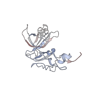 10654_6xyw_Av_v1-2
Structure of the plant mitochondrial ribosome
