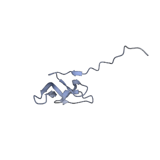 10654_6xyw_Aw_v1-2
Structure of the plant mitochondrial ribosome