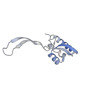 10654_6xyw_Ax_v1-2
Structure of the plant mitochondrial ribosome