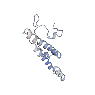 10654_6xyw_Ay_v1-2
Structure of the plant mitochondrial ribosome