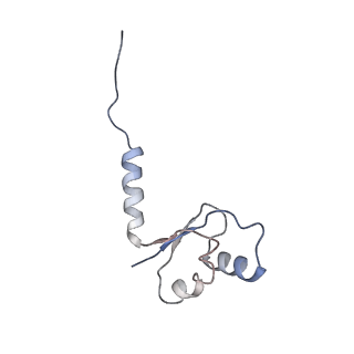 10654_6xyw_Az_v1-2
Structure of the plant mitochondrial ribosome