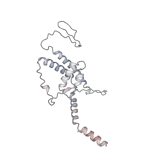 10654_6xyw_BD_v1-2
Structure of the plant mitochondrial ribosome