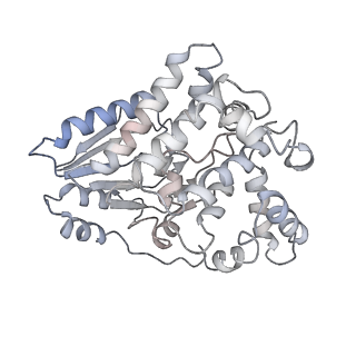 10654_6xyw_BE_v1-2
Structure of the plant mitochondrial ribosome