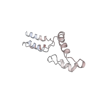 10654_6xyw_BF_v1-2
Structure of the plant mitochondrial ribosome