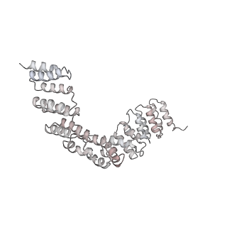 10654_6xyw_BG_v1-2
Structure of the plant mitochondrial ribosome