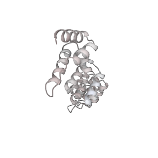 10654_6xyw_BH_v1-2
Structure of the plant mitochondrial ribosome