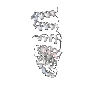 10654_6xyw_BI_v1-2
Structure of the plant mitochondrial ribosome