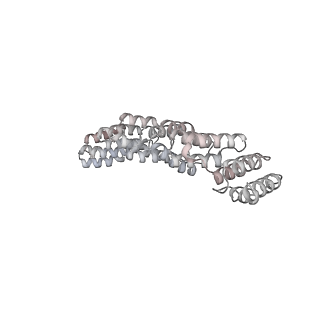 10654_6xyw_BK_v1-2
Structure of the plant mitochondrial ribosome