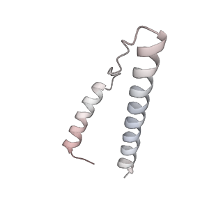 10654_6xyw_BL_v1-2
Structure of the plant mitochondrial ribosome