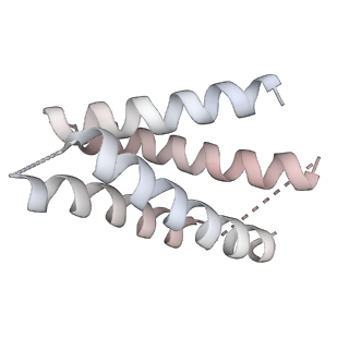 10654_6xyw_BP_v1-2
Structure of the plant mitochondrial ribosome