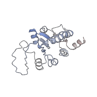 10654_6xyw_Ba_v1-2
Structure of the plant mitochondrial ribosome