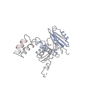 10654_6xyw_Bb_v1-2
Structure of the plant mitochondrial ribosome