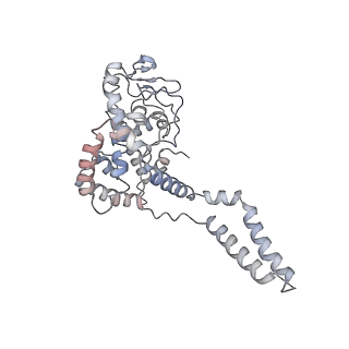 10654_6xyw_Bc_v1-2
Structure of the plant mitochondrial ribosome