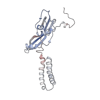 10654_6xyw_Bd_v1-2
Structure of the plant mitochondrial ribosome