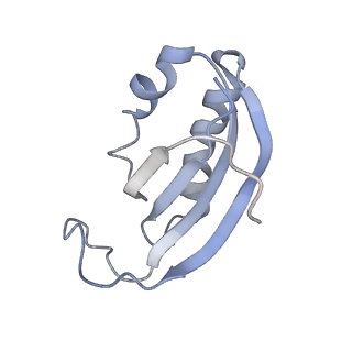 10654_6xyw_Be_v1-2
Structure of the plant mitochondrial ribosome