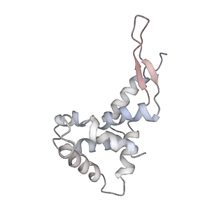 10654_6xyw_Bf_v1-2
Structure of the plant mitochondrial ribosome