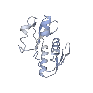 10654_6xyw_Bg_v1-2
Structure of the plant mitochondrial ribosome