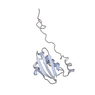 10654_6xyw_Bh_v1-2
Structure of the plant mitochondrial ribosome
