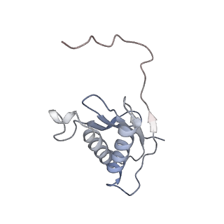 10654_6xyw_Bj_v1-2
Structure of the plant mitochondrial ribosome